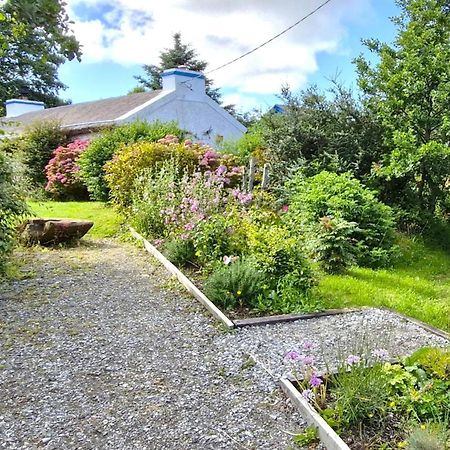 The Rockhouse - Cosy Stone Built Thatch Cottage Dungloe Kültér fotó